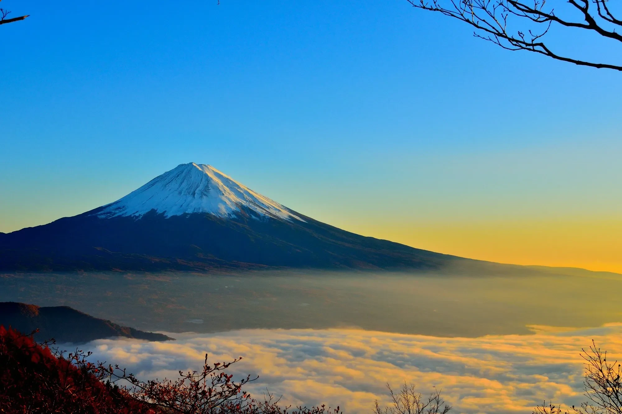 Fuji-san