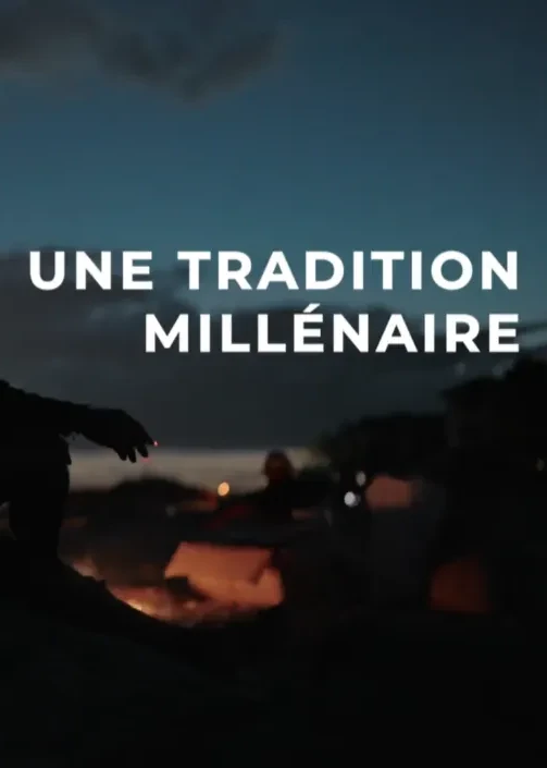 Au Japon, la pêche au cormoran, une tradition millénaire